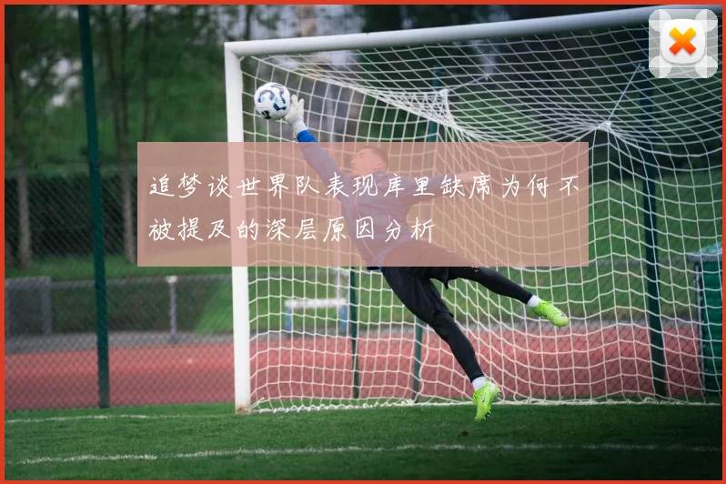 追梦谈世界队表现库里缺席为何不被提及的深层原因分析