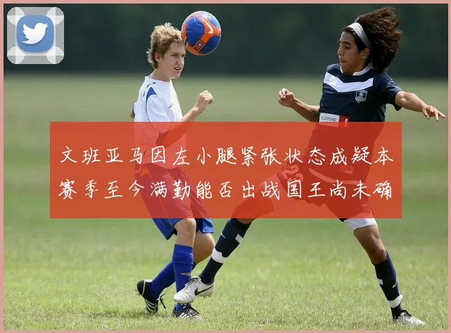 文班亚马因左小腿紧张状态成疑本赛季至今满勤能否出战国王尚未确定