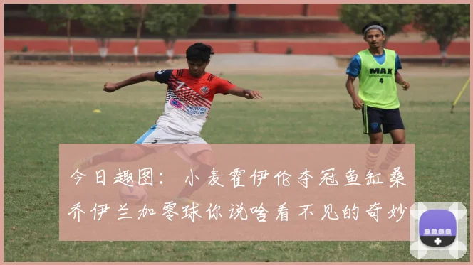 今日趣图：小麦霍伊伦夺冠鱼缸桑乔伊兰加零球你说啥看不见的奇妙瞬间