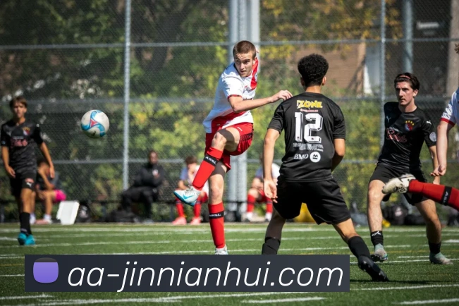 多媒体互动体验