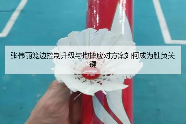 张伟丽笼边控制升级与抱摔应对方案如何成为胜负关键 - jinnianhui